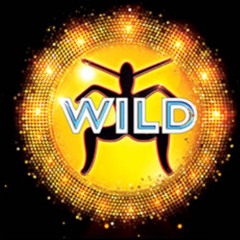 Wild Fm Best Tracks Vol 1