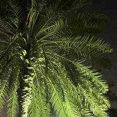 ‎⁨غنانا - محمد احمد - يا علي⁩