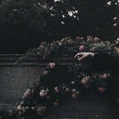 dancer in the dark /chase atlantic/