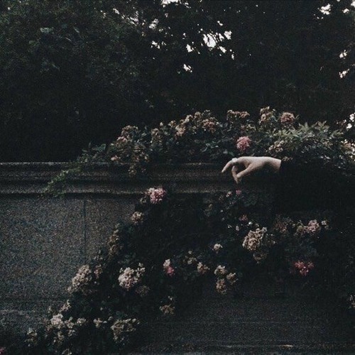 dancer in the dark /chase atlantic/