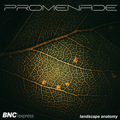 Promenade 'Moving Back' [BNCexpress]