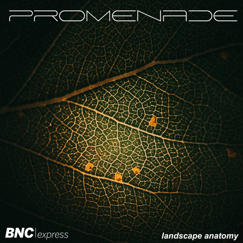Promenade 'Moving Back' [BNCexpress]