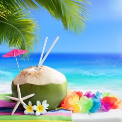 Dolle Juin - Summer Mix 2024