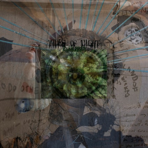 Tides Of Light - Evergreen