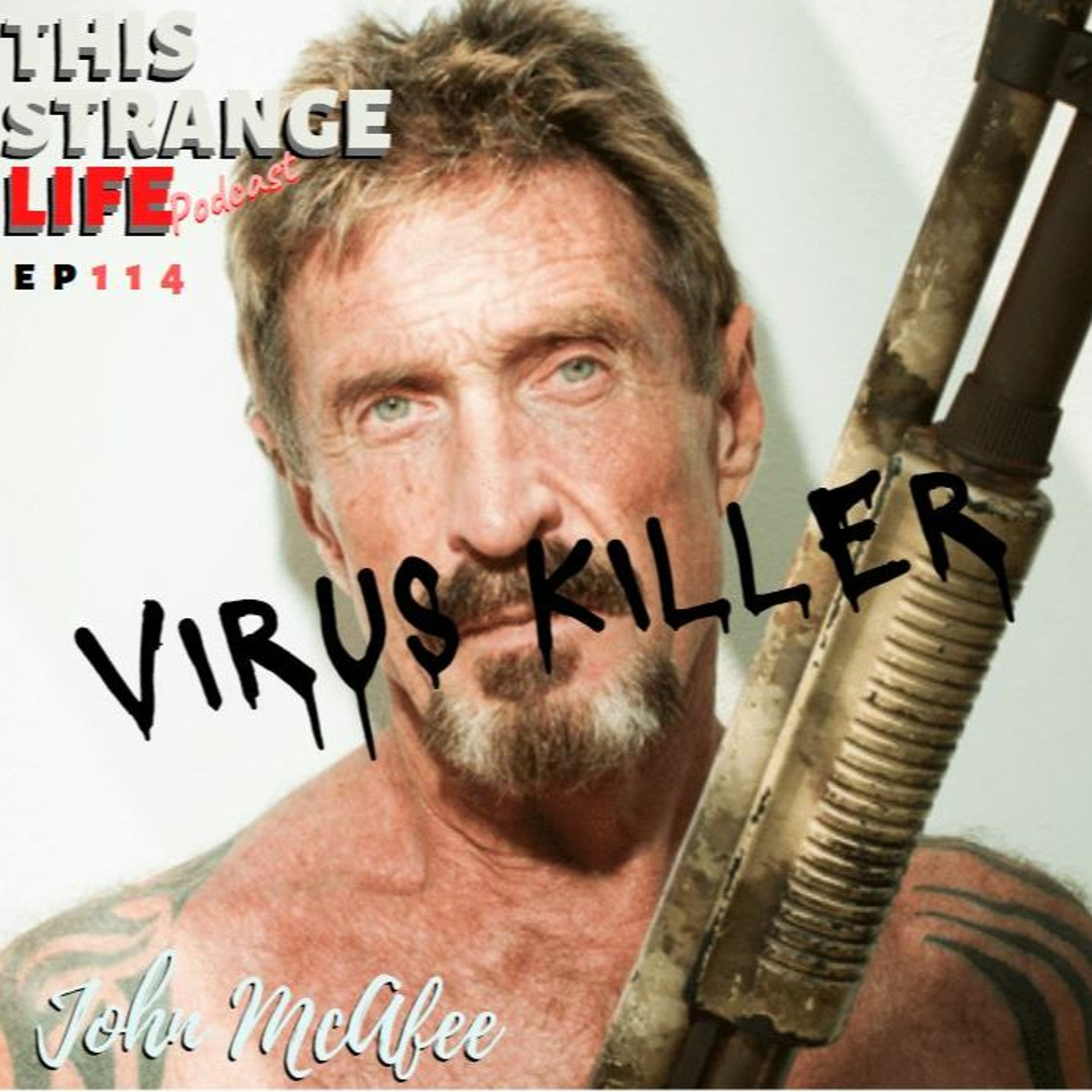 John McAfee | Prison, Punishment, Psychedelics, God & Hunter S. Thompson