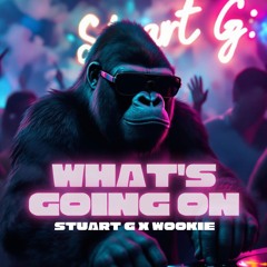 Whats Going On - Wookie x Stuart G (Remix)