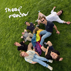 sheep meadow [FOREST Mix]