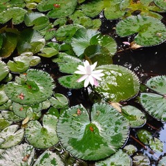 Convocatoria MedellinStyle 2025/ Freedom