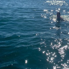 The Lonesome Boatman - Low Whistle Cover