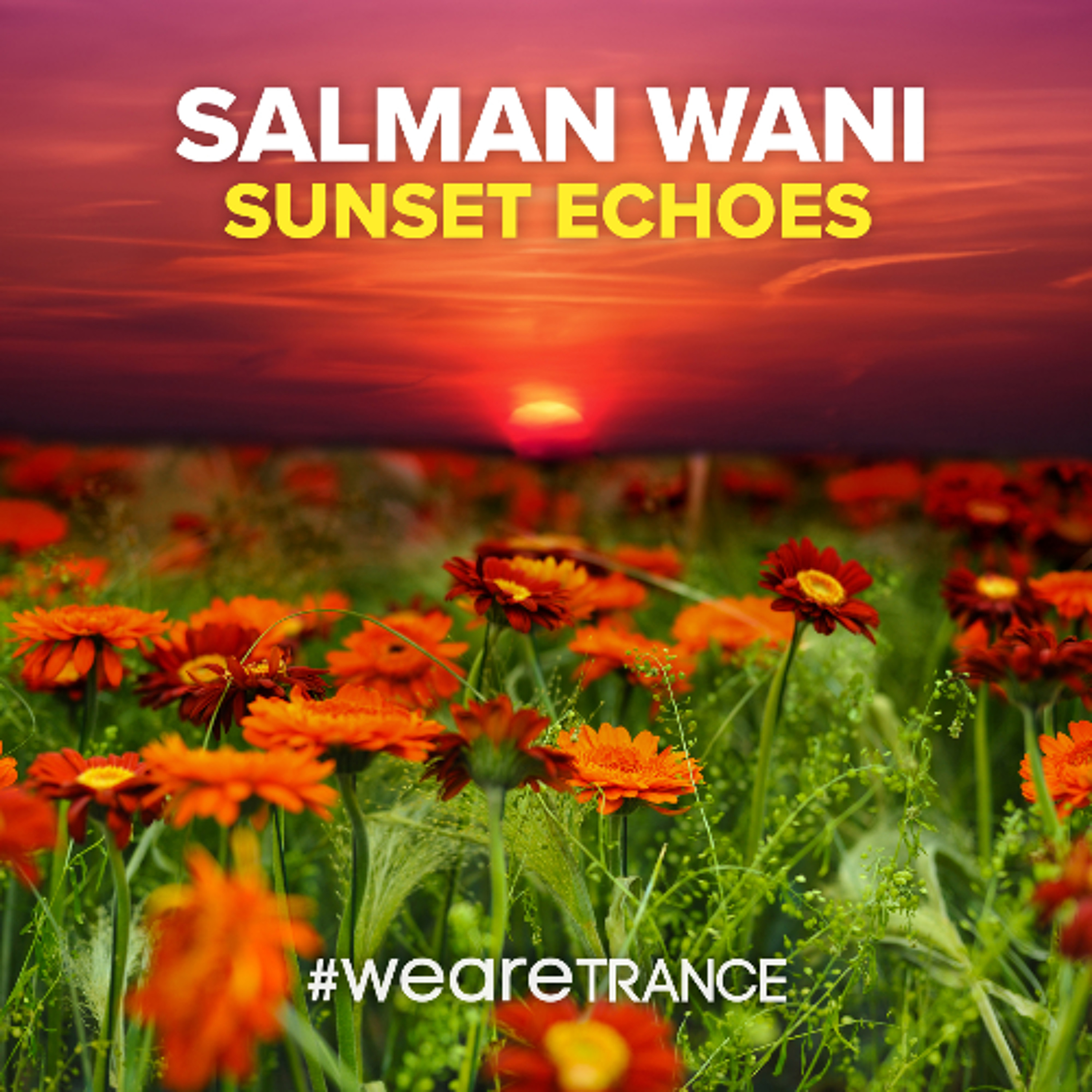 Salman Wani - Sunset Echoes episode artwork