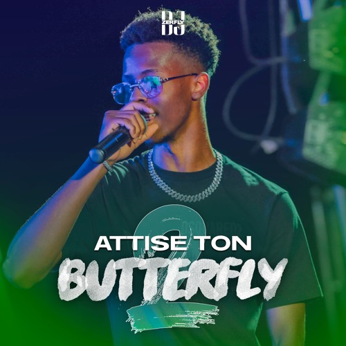 DJ ZERFLY - ATTISE TON BUTTERFLY VOL.2