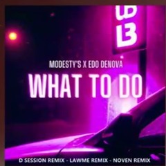 Modesty S X Edo Denova - What To Do (Original Mix)