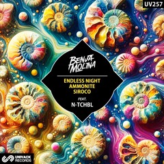 PREMIERE: Benja Molina - Endless Night (feat. N-TCHBL Extended Mix) [Univack]