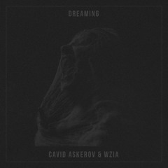 Cavid Askerov & WziA - Dreaming (Original MIx