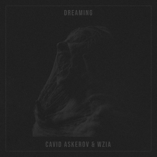 Cavid Askerov & WziA - Dreaming (Original MIx