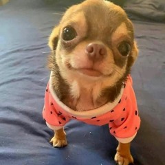 better by yourself - babyxsosa