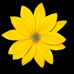 112025glitchDrums133