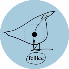 PREMIERE: effgee - just [fellice records]