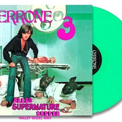 Cerrone - Alles Supper Nature Berlin ( Halley Seidel RMX)