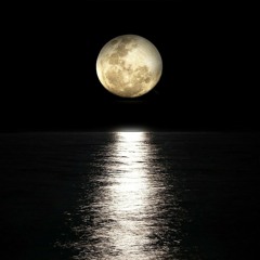 Moonlight