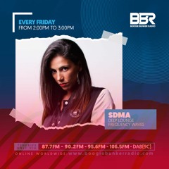 Podcast @ BBR 6 - Organic / Downtempo