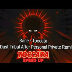 SANE - Toccata (Mr. Dust Tribal After Personal Private Remix)