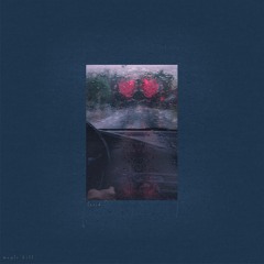 Lucid