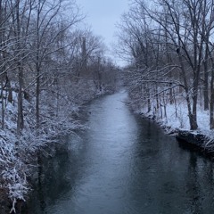 Disemboweled and Left for Dead