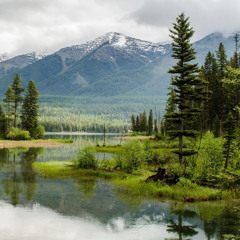 Tomorrow is Another Day