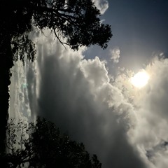 Trap Dubstep Queen- rework