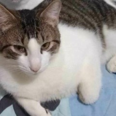 Mistake D M...Soonnn (Unmaster Mix)