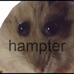 CHAMPY - HAMPTER FLOW (WIP CLIP)
