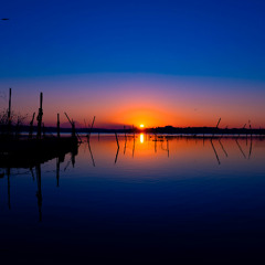 Morning Glow
