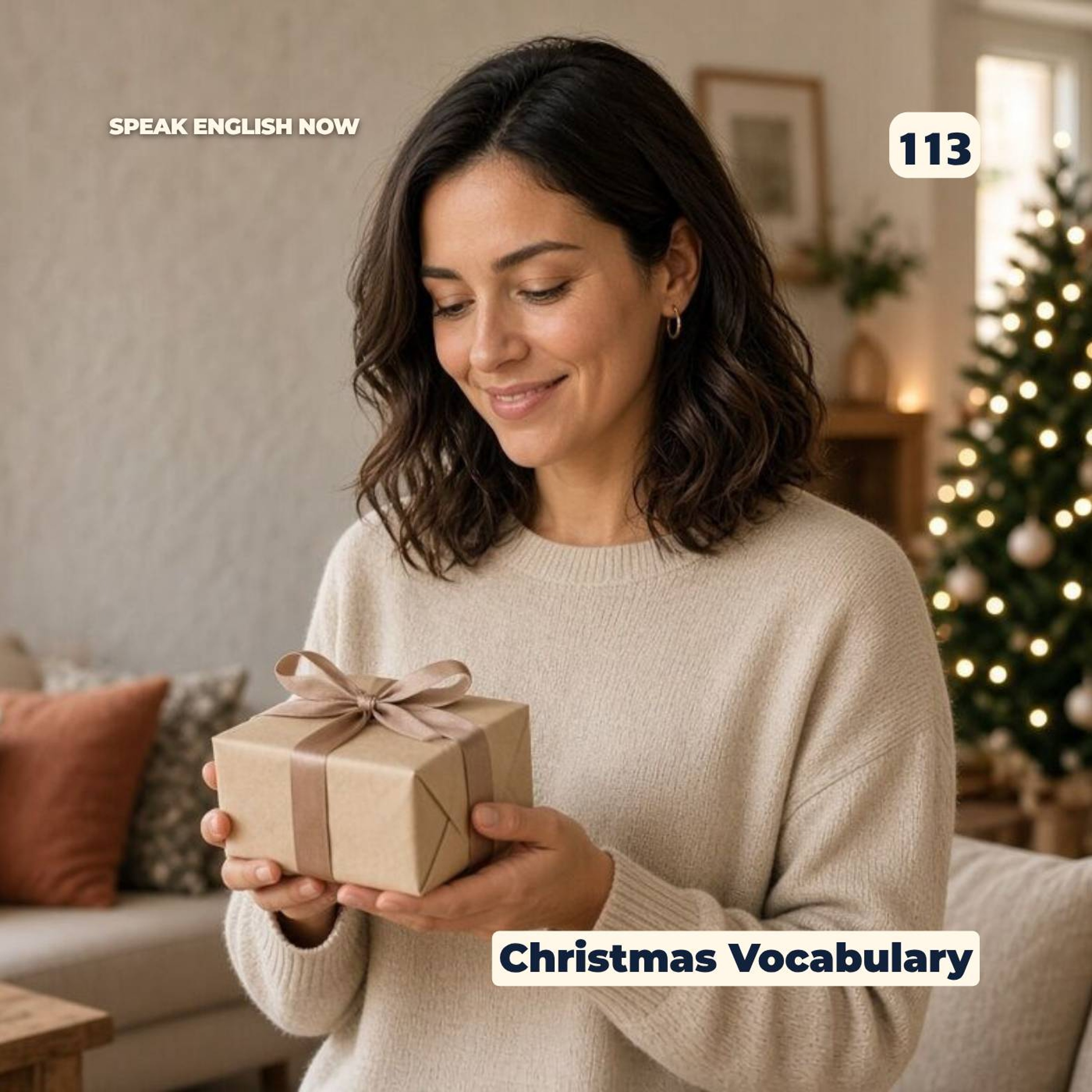#113 Christmas Holidays 2019 episode artwork
