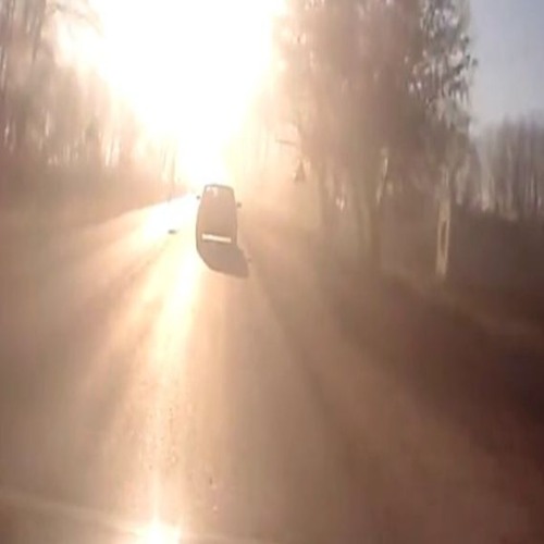 kraujo kūnelių demo vienas