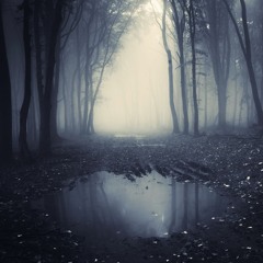 Deep Pool In The Black Forest