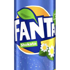 Shokata ft. LIO (prod. KazOnDaBeat)