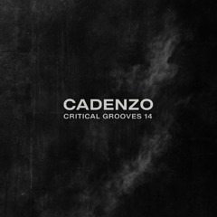 Cadenzo - Critical Grooves 14