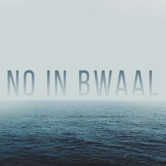 No In Bwaal cover