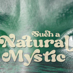 ♫♪ Bob Marley - Natural Mystic ♫♪ 1 Hour Extended