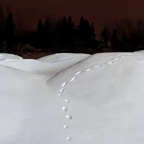 desert pt 3 w/ justdxnt