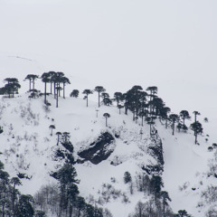 Ice fields on ur bags (Loop1) - Ilion, LostHue
