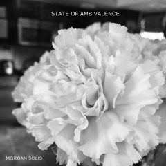 state of ambivalence