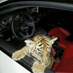 Lumarii - Rock That Body  °slowed°