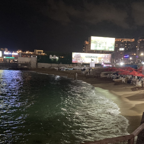 اغنية النمر اول ما يظهر - غناء رضا البحراوي - تتر مسلسل النمر 2021