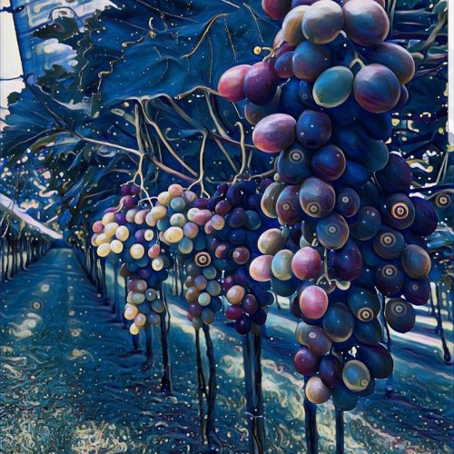 Squat_23 - Acid grapeS