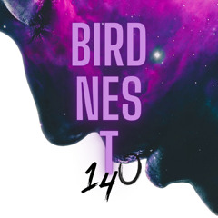 BIRDNEST # 140