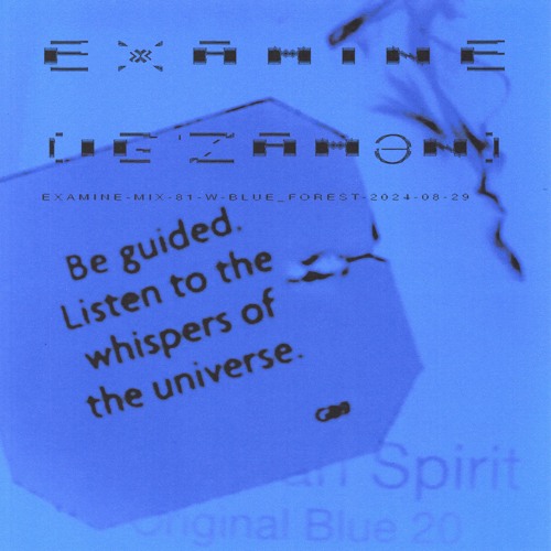examine-mix-81-w-blue_forest-2024-08-29