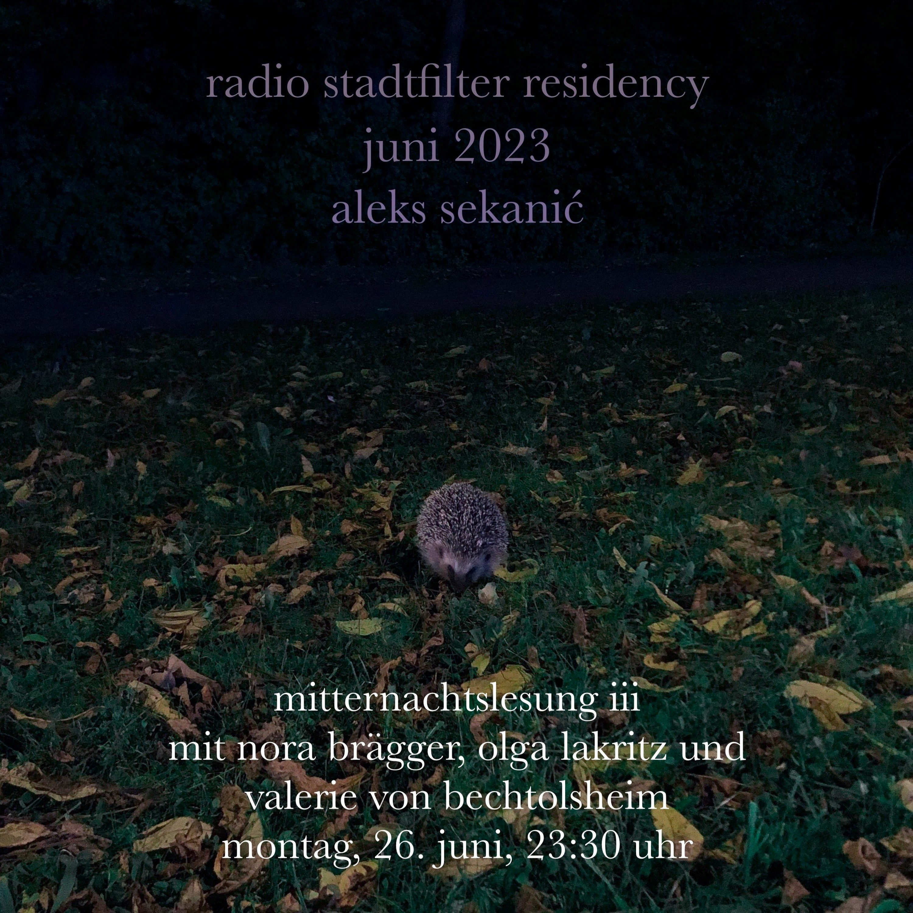 Mitternachtslesung iii episode artwork