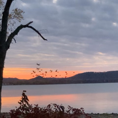 Lift, Press, Breathe  11-18-25 - Chair